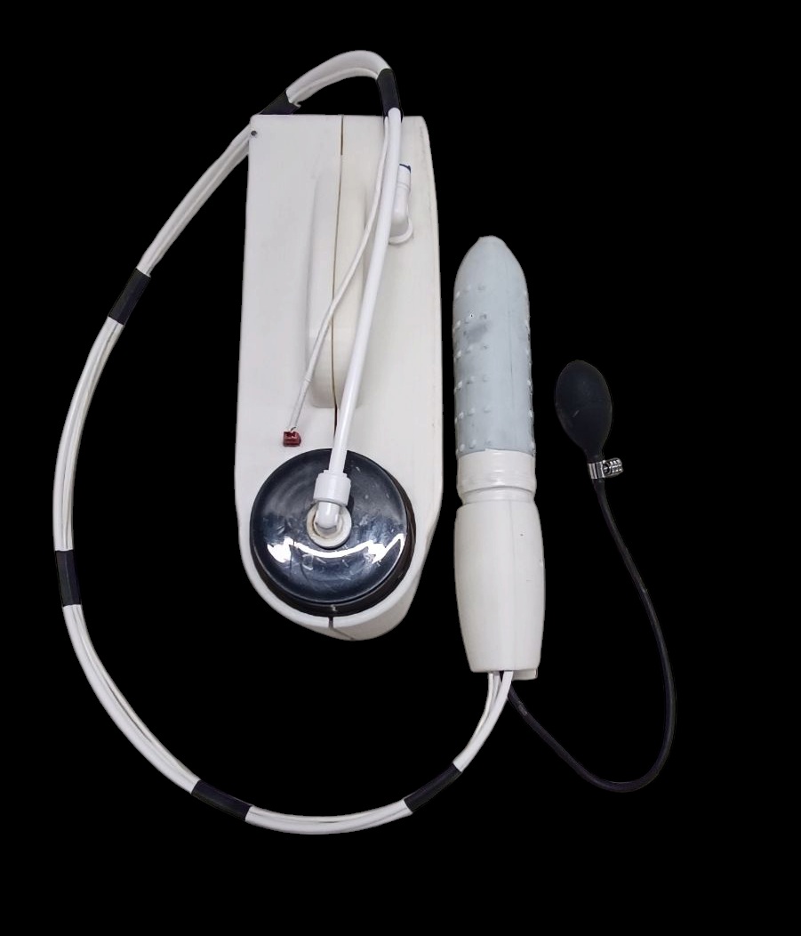 inde.vet Internal Components